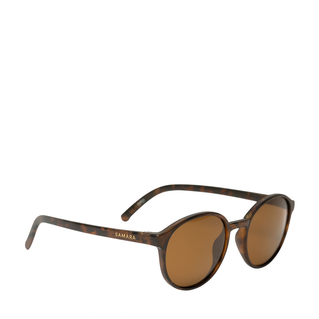 The Castor Sunnies